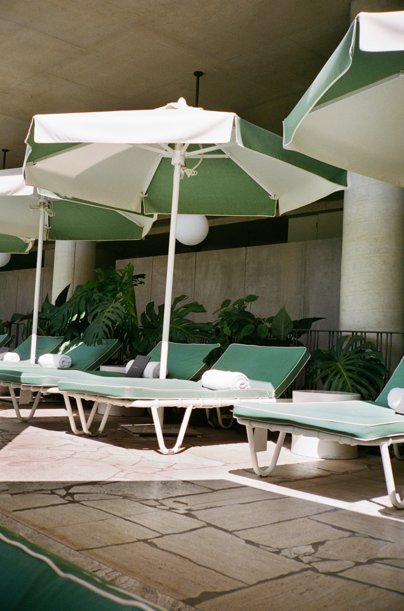 CALILE POOLSIDE